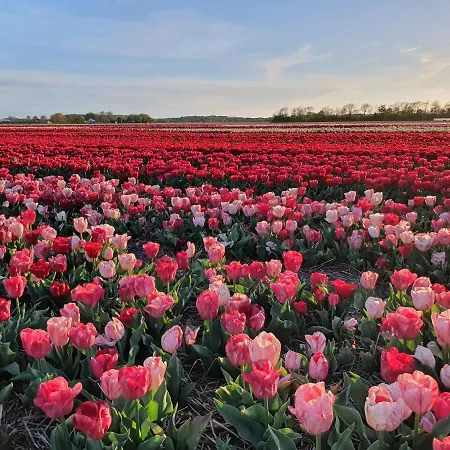 Hébergement de vacances Schotvanger